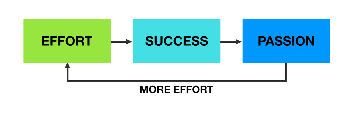 The virtuous cycle of effort, success and passion
